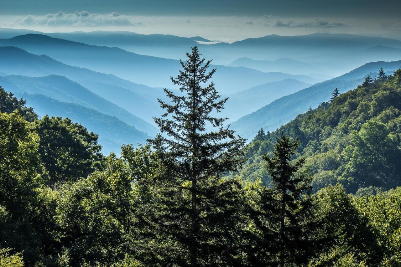 Lazy Bear Den Villa Sevierville Exterior foto