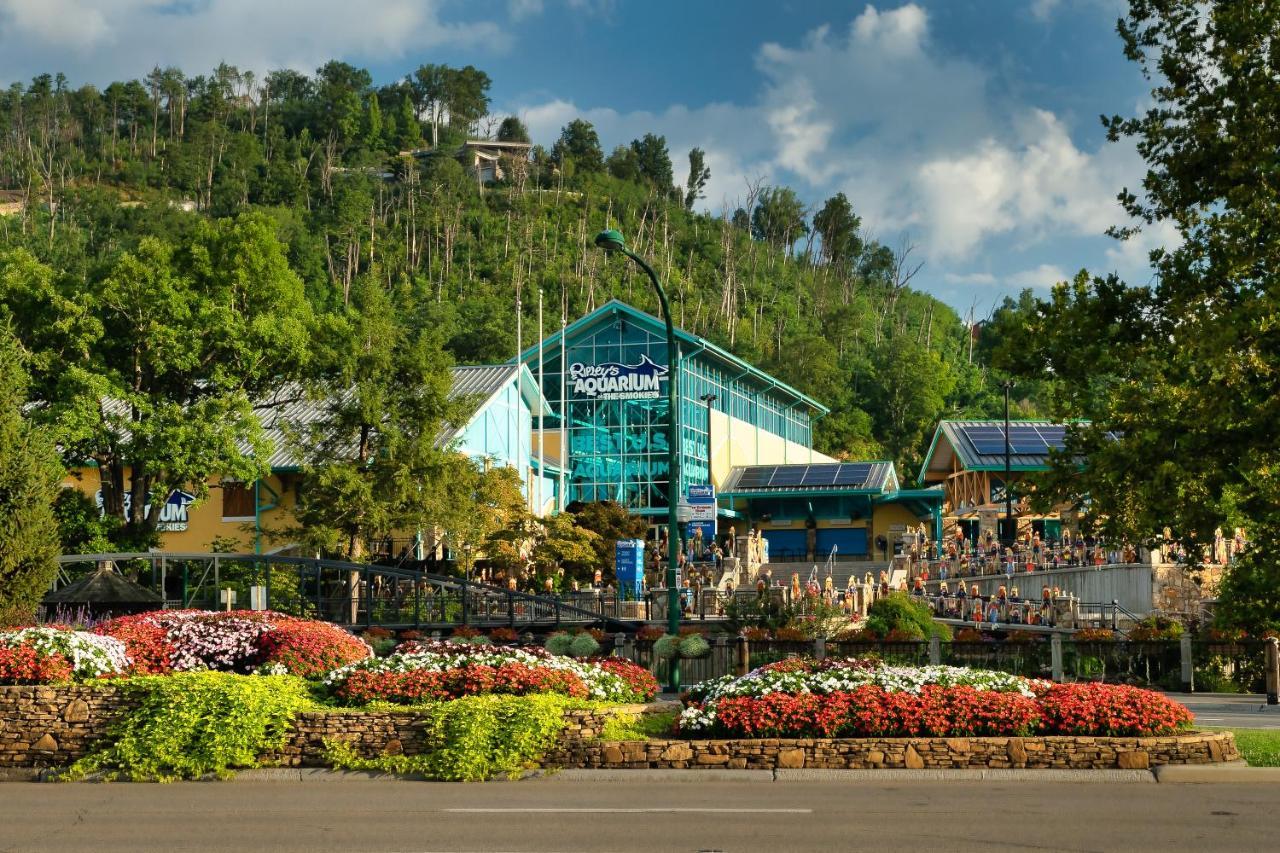 Lazy Bear Den Villa Sevierville Exterior foto